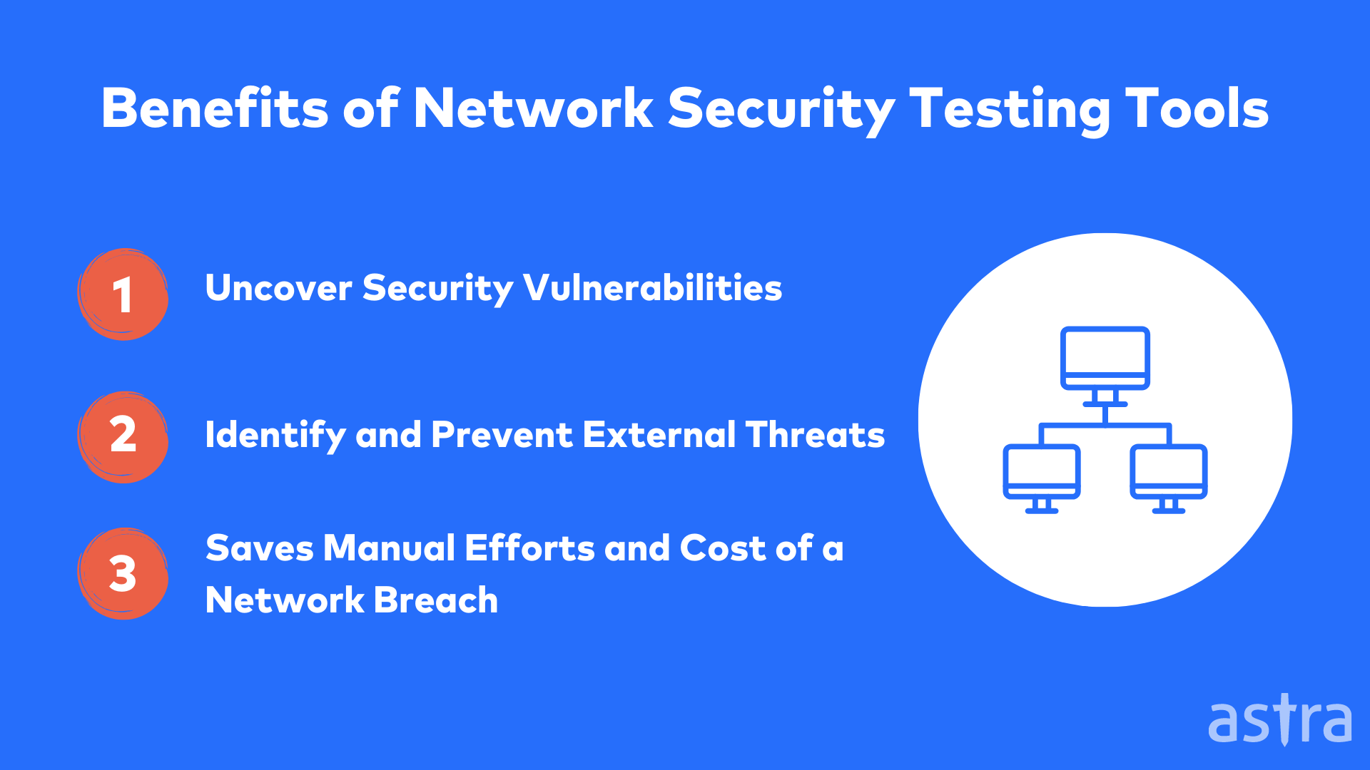 What are three 3 tools used to test a network for vulnerabilities?