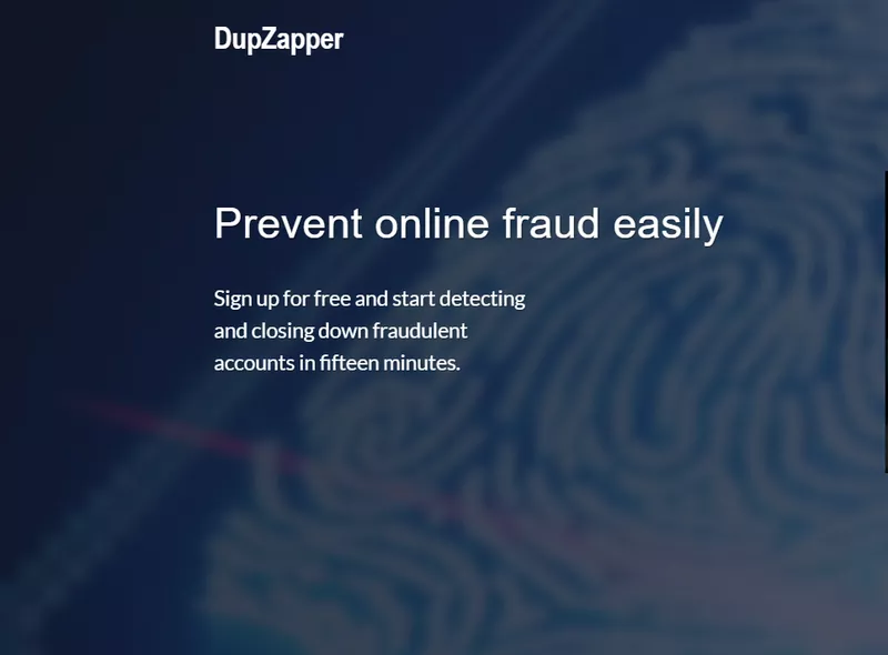 Dupzapper site screenshot