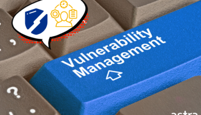 vulnerability management systems