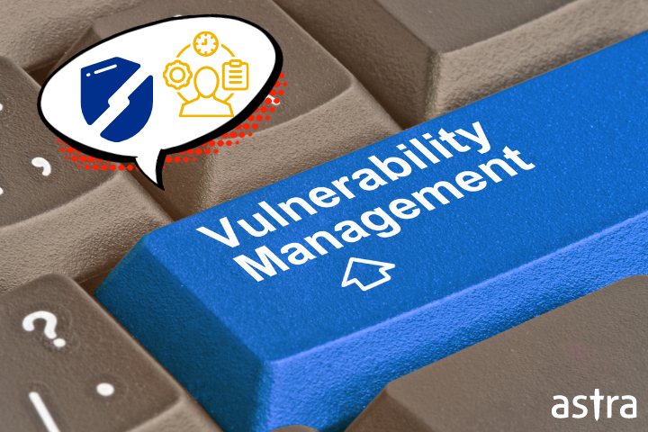 vulnerability management systems