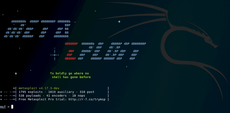 metasploit web app pentest tool