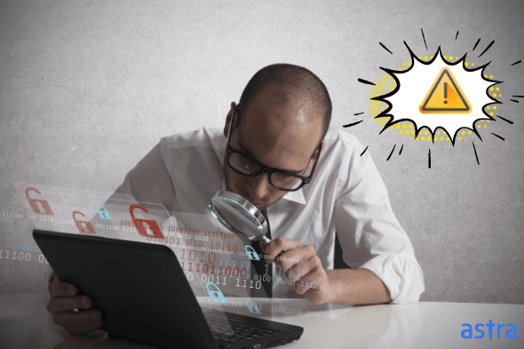 plugin security audit