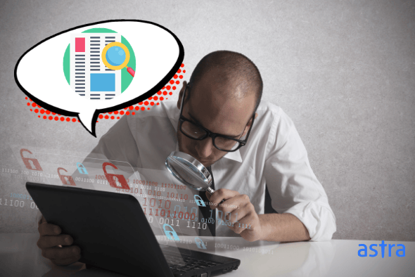 Website vulnerability testing