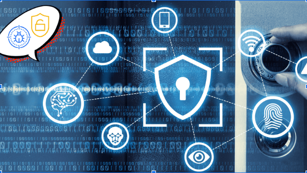 SANS Vulnerability Management