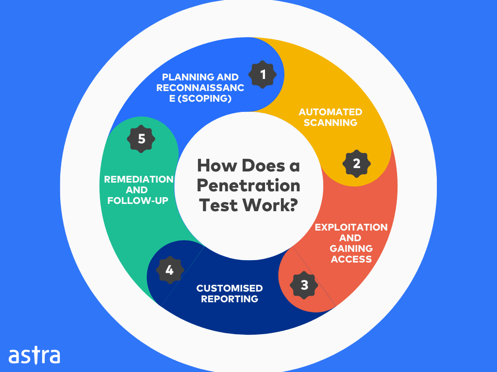 Infographic on how Does a Penetration Test for Startups Work
