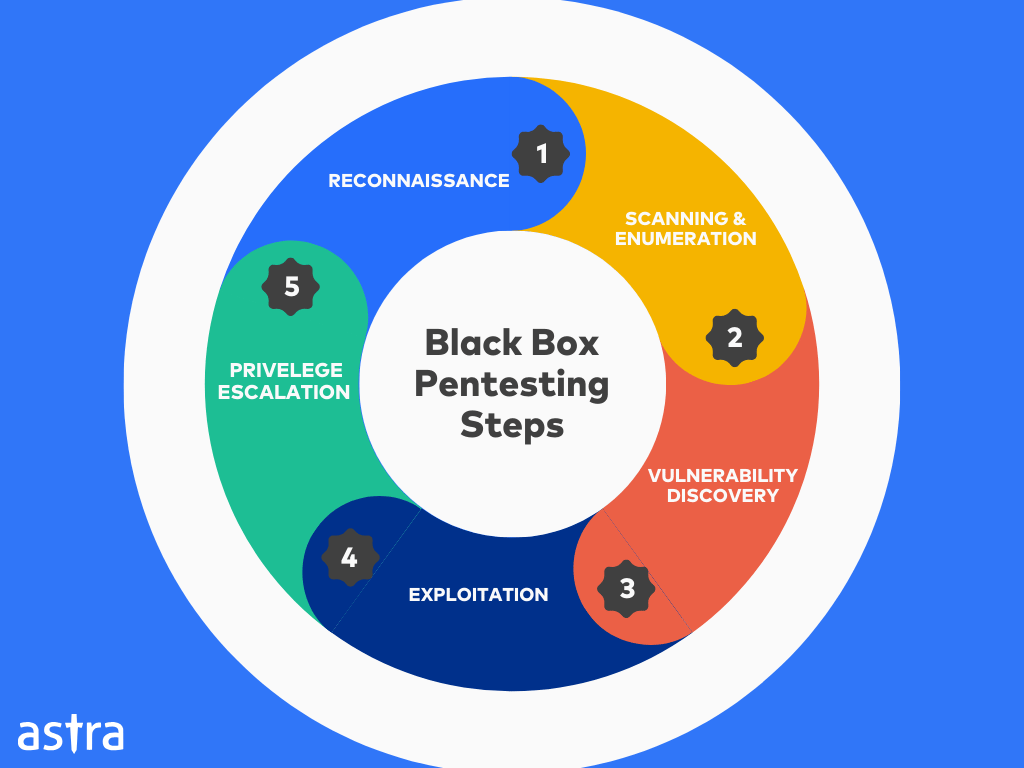 Black box pentesting steps