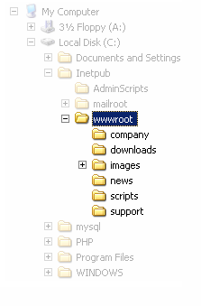 Website Penetration Testing Exploitaion 2