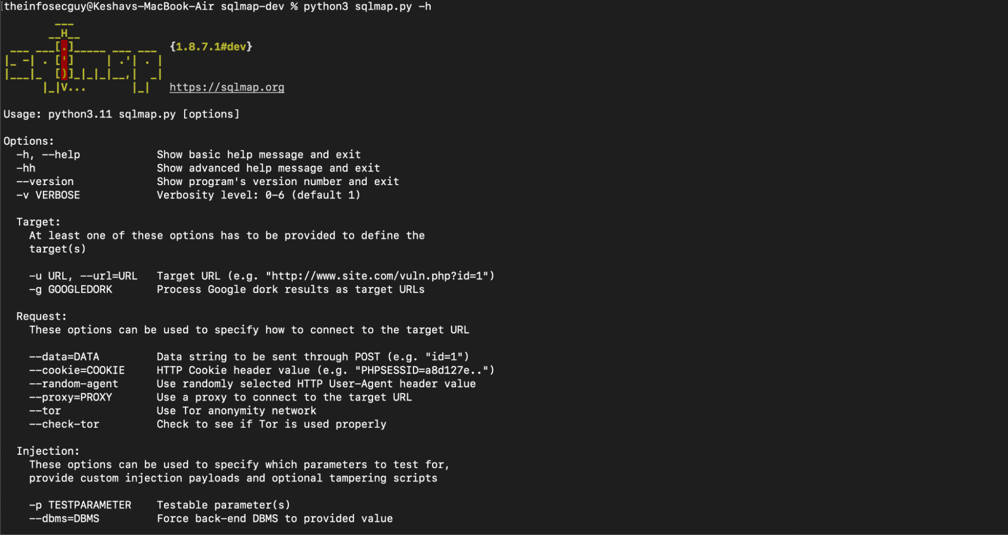 SQL injection attack - API penetration testing