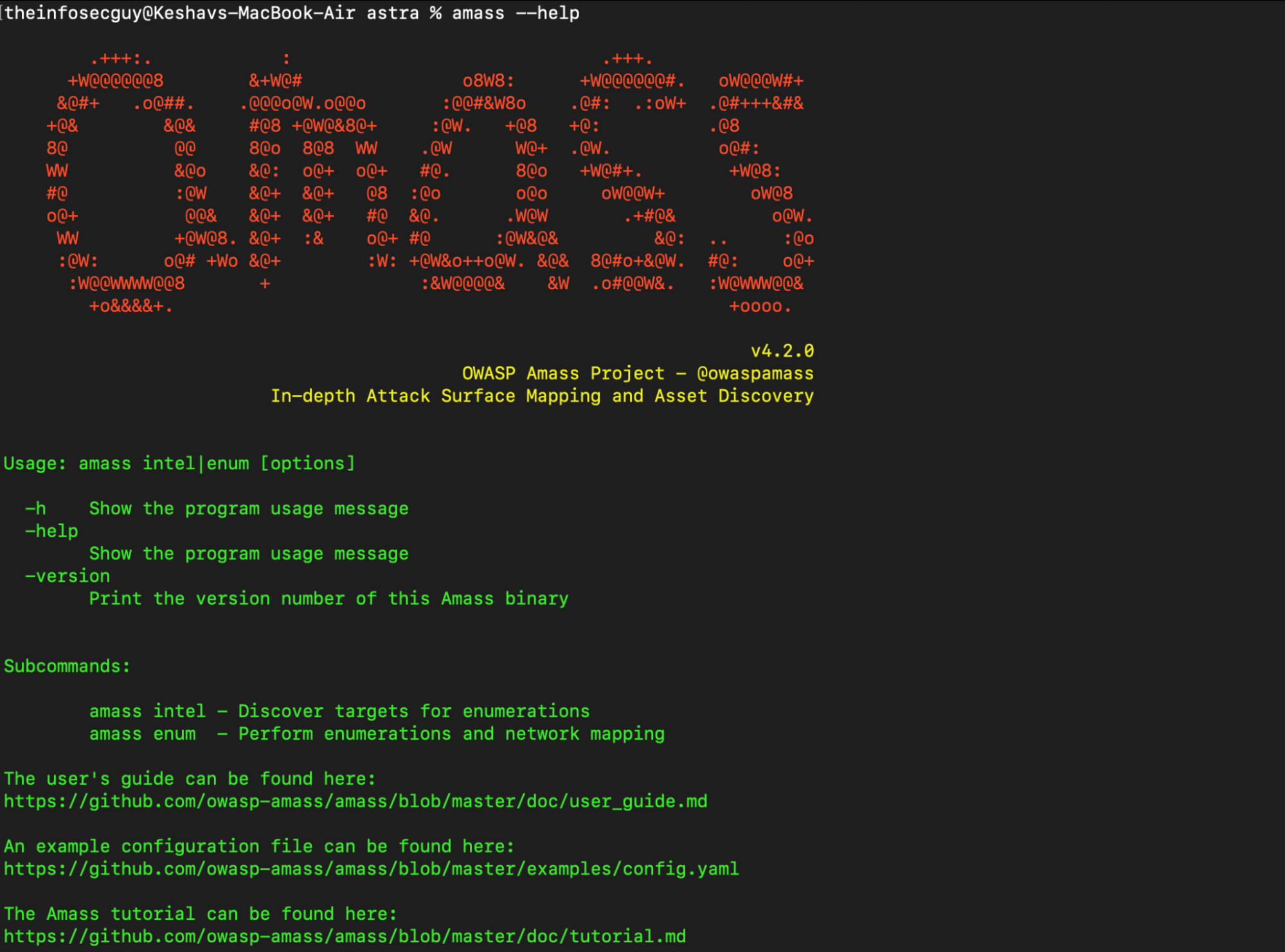 amass - API penetration testing