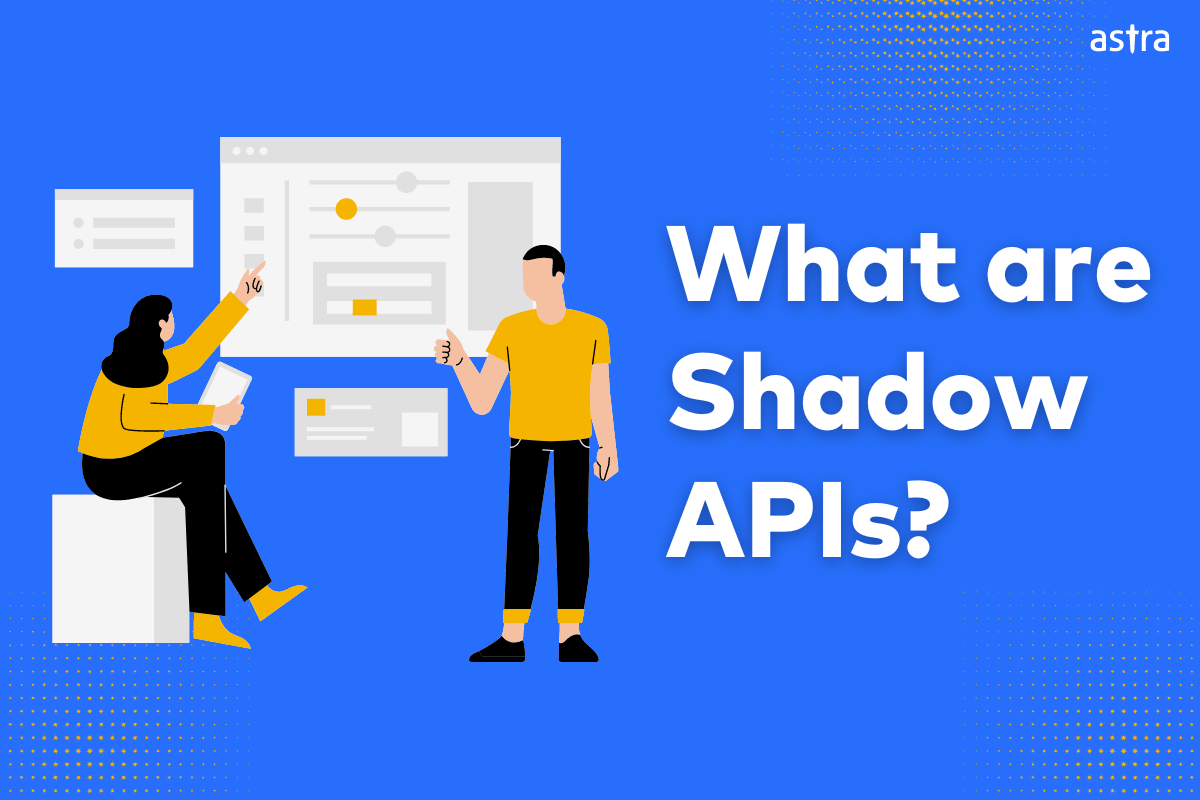 Shadow API Testing