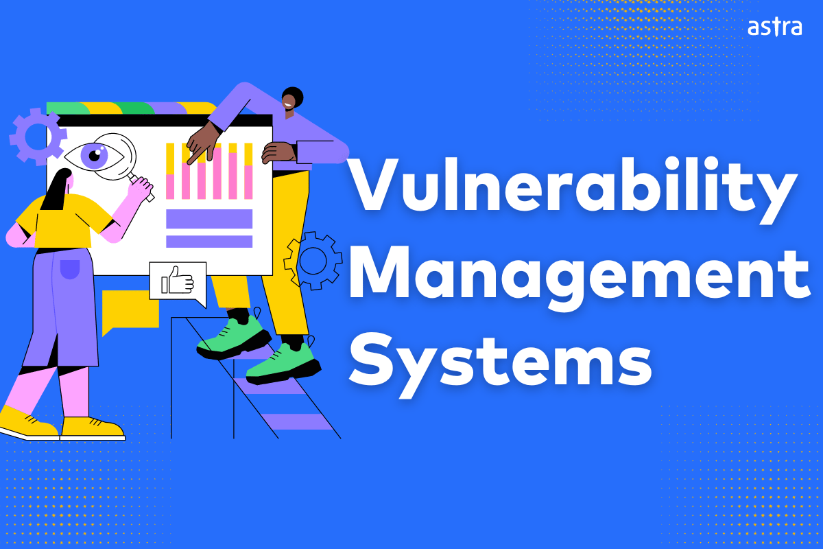 Vulnerability Management Systems