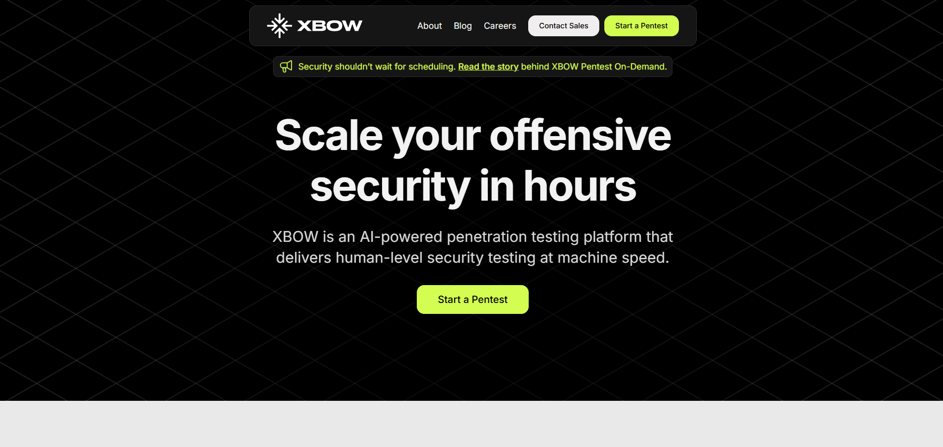 XBOW's AI pentesting tool
