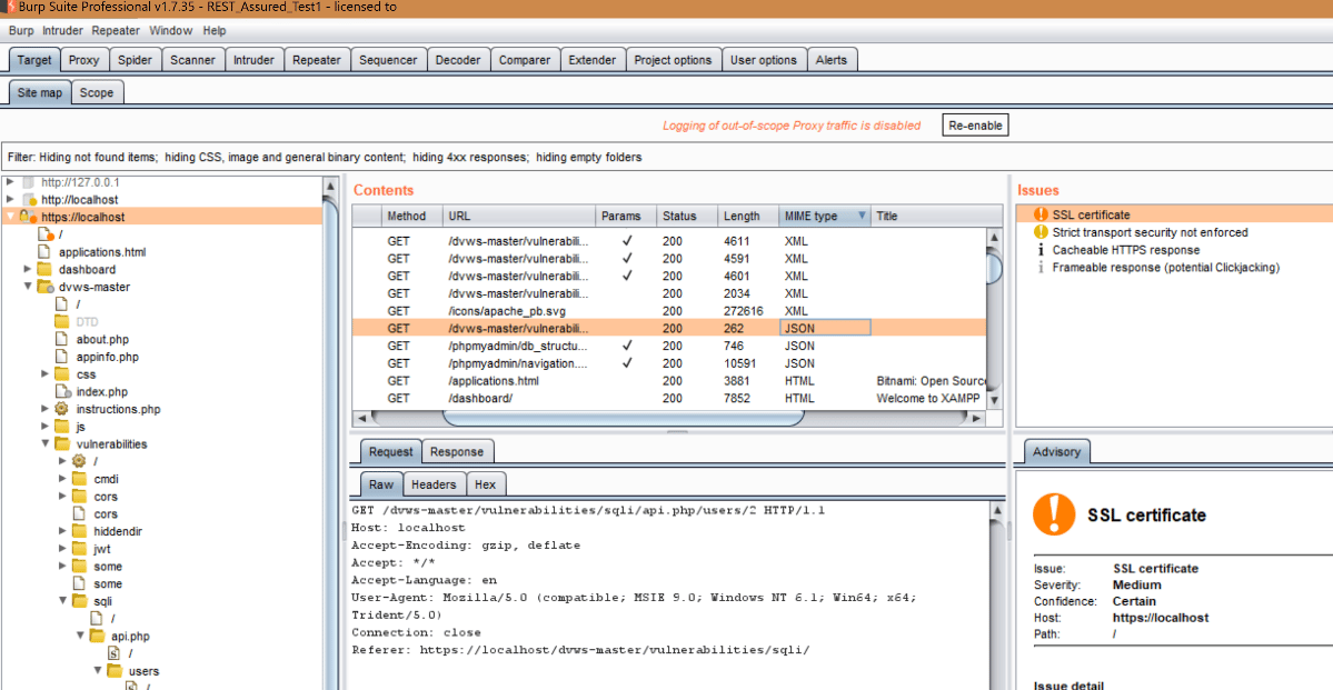 Burp Suite's API Penetration testing tool's dashboard