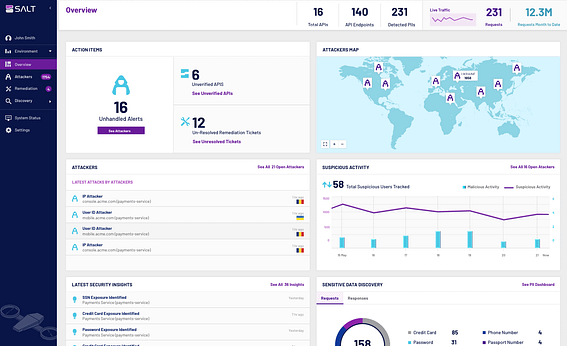 Salt Security's API Pentesting tool's dashboard