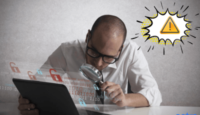 plugin security audit