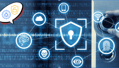 SANS Vulnerability Management