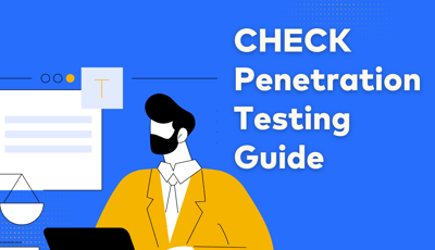 CHECK Penetration Testing Guide