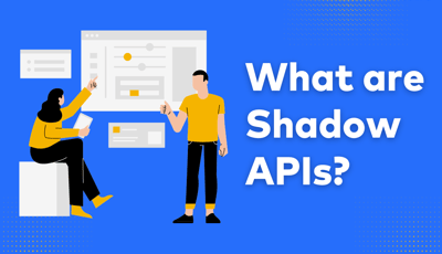 Shadow API Testing